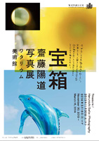 齋藤陽道展DM