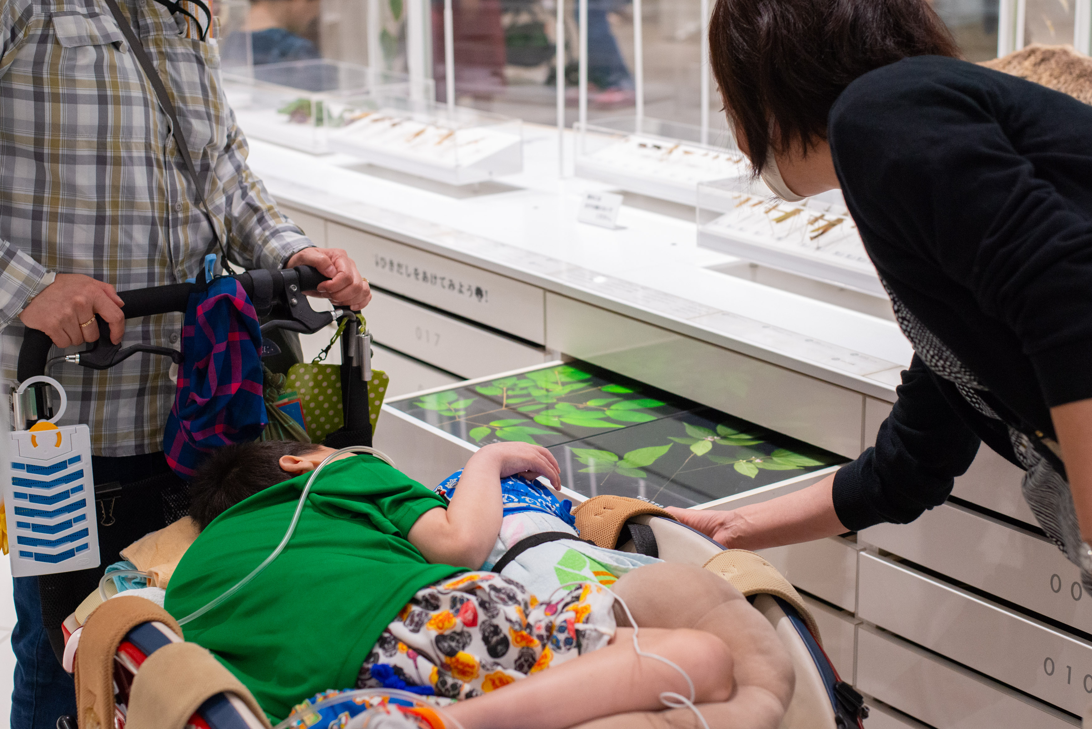 【みんなでミュージアム】今年度の活動を報告・紹介／パートナー・コーディネーターの募集締切迫る！