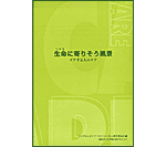 生命(いのち)に寄りそう風景